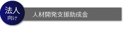 法人向け人材開発支援助成金