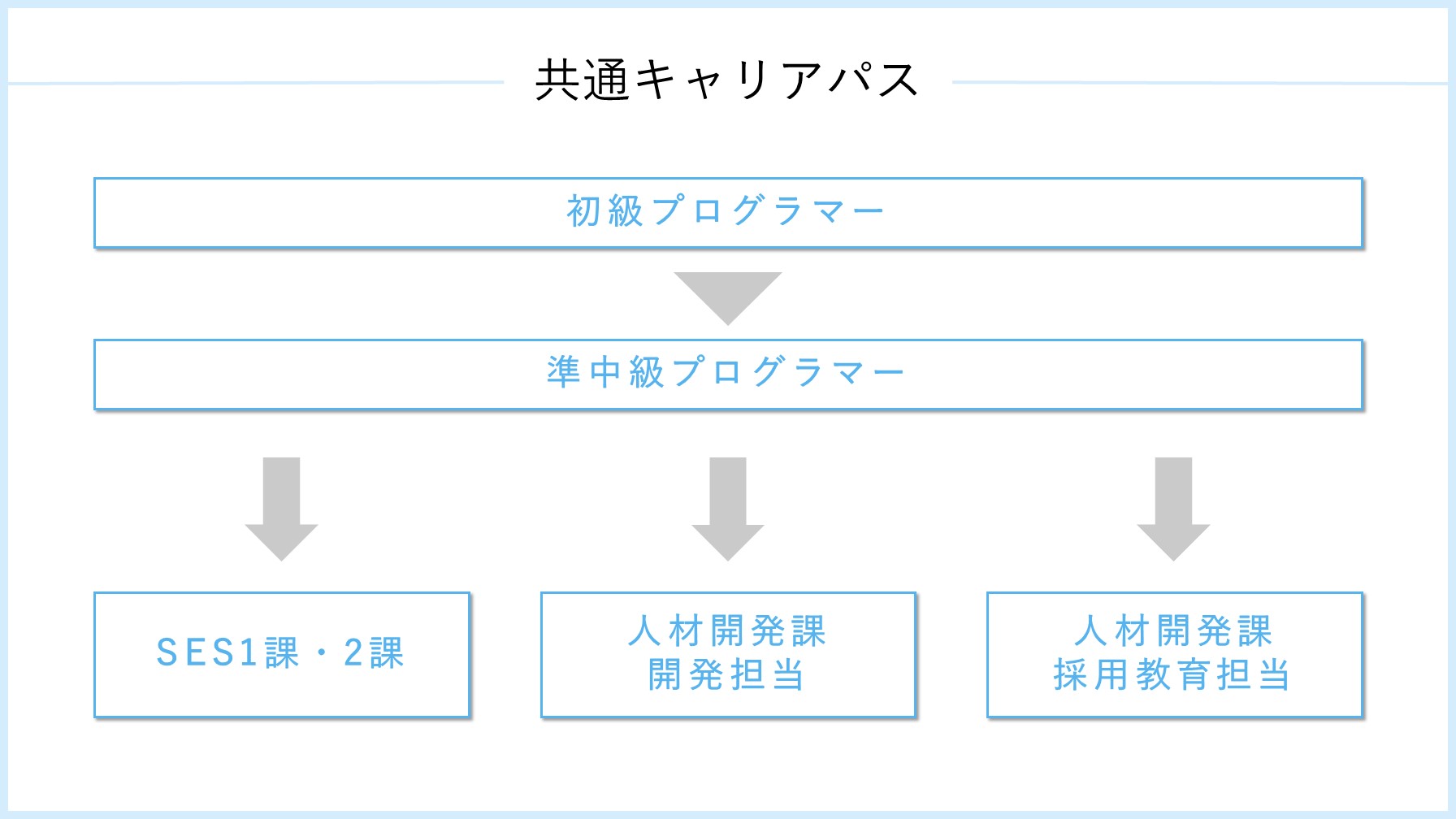 共通キャリアパス